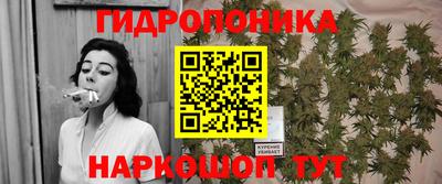 a pvp Свободный